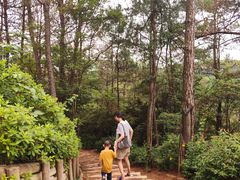 -千岛湖天屿景区
