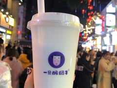 -一只酸奶牛(八一路店)