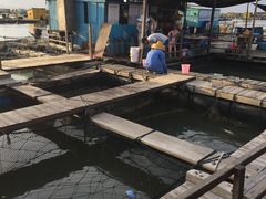 -海上驿站渔家菜馆