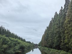 -黄海国家森林公园