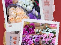 -曲阳花鸟市场(曲阳路店)