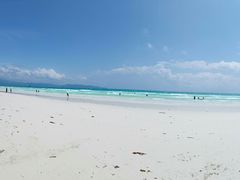 -白沙滩