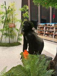 -IMON·HANSA潮玩玩偶毛绒玩具(通州万象汇店)