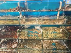 -仙螺岛海鲜自助餐厅(总店)