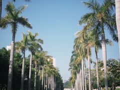 -厦门大学(思明校区)