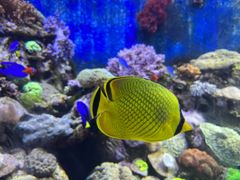 -珠海长隆海洋王国