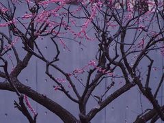 -静安雕塑公园