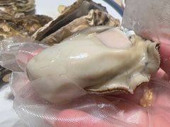 -杨氏青龙虾·羊蝎子(珠江路店)