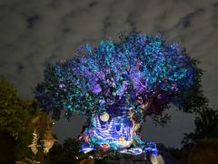 -奥兰多迪士尼动物王国乐园