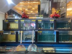 -聚鑫阁江浙菜·非遗传承技艺(青村帝华园店)