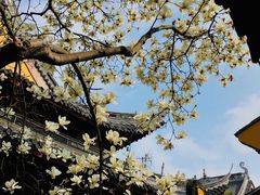 -龙华寺