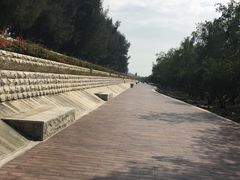 -宝安西湾红树林湿地公园