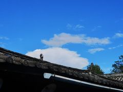 -田德能咖啡博物馆