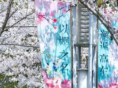 -高东镇樱花园