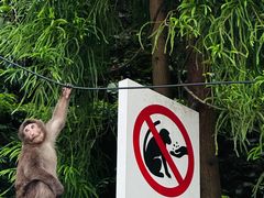 -西岭雪山大飞水景区