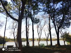 -黄兴公园