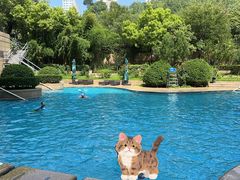 -济南喜来登酒店