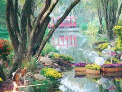 -上海共青森林公园