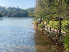 -深圳仙湖植物园