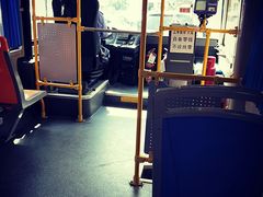 -光明小镇欢乐田园