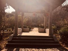 -雨花胜境