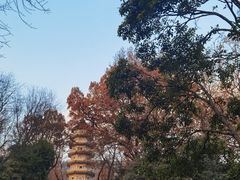 -灵谷景区