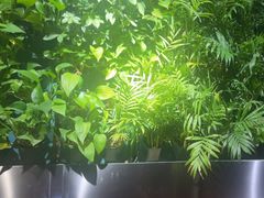 -巴奴毛肚火锅(广益哥伦布店)