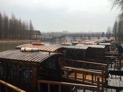 -溱湖国家湿地公园