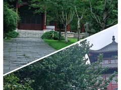 -堤角公园