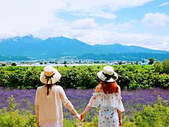 -富田农场