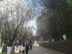 -昆明动物园