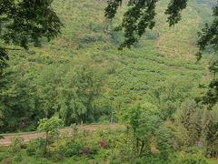 -樱桃山旅游景区