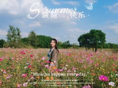 -嘉北郊野公园