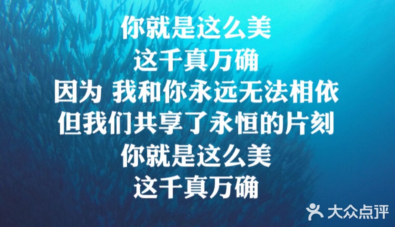 我瞬间以为自己飘去了另一个星球