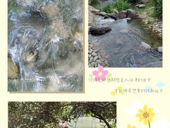 -新虹桥中心花园