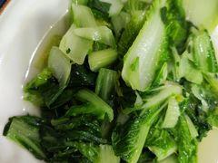 芥菜-西新饭店(城中店)