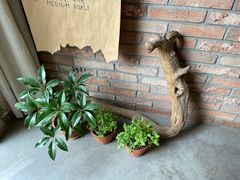 -春庄咖啡SpringHues(钟楼小区店)
