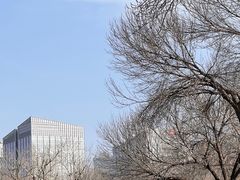 -莲花池公园