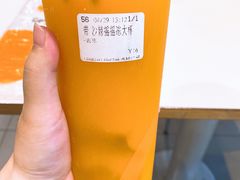 沙棘百香蜜摇摇冻-CoCo都可(光谷天地店)