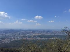 -紫金山山顶公园