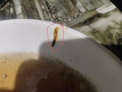 -名扬煮艺肥牛自助火锅(东平店)