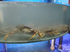 -蔚海之都·象山蒸汽海鲜(仙霞路店)