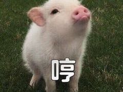 -乐彡炸串·烤苕皮(西单华威约饭街店)