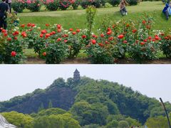 -上海辰山植物园