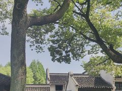 -乌镇东栅景区