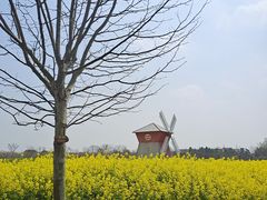 -金卉庄园