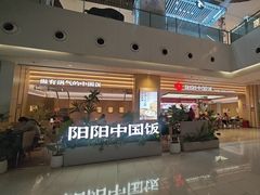 -阳阳中国饭(龙湖大兴天街)