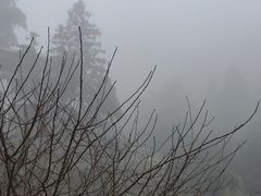 -鼓岭旅游度假区
