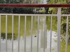 -人民公园(罗湖区)