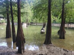 -广州市帽峰山景区